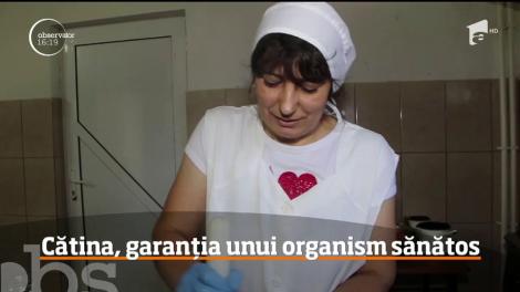 Cătina, garanția unui organism sănătos