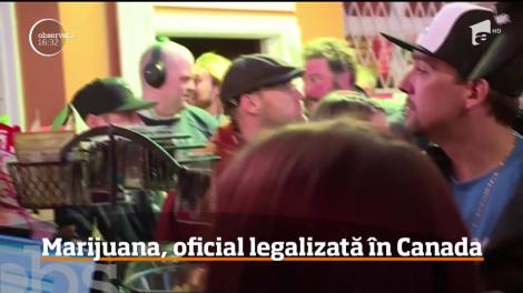 Marijuana, oficial legalizată în Canada