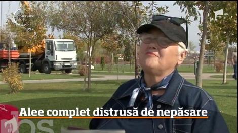 O alee din parcul din T&acirc;rgu-Jiu, distrusă de c&acirc;tiva muncitori