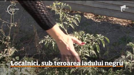 Localnicii de lângă cariera Roșiuța, condamnați la suferință! Norul de praf, cărbune şi steril are efecte devastatoare