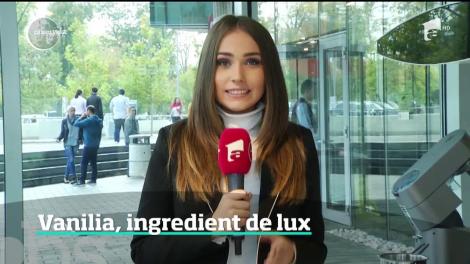 Preţul vaniliei a crescut de 100 de ori, după ce un ciclon puternic a distrus culturile din Madagascar