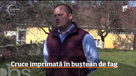 Un bărbat dintr-un sat din Munţii Orăştie a descoperit o cruce imprimată într-un buștean de fag