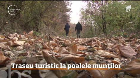 Traseu turistic pentru pasionaţii de natură, în munţii Poiana Ruscă