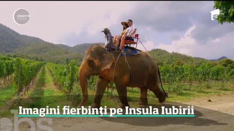 Imagini fierbinți pe Insula Iubirii