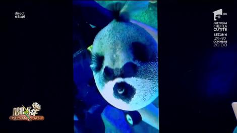 Smiley news! Cel mai frumos pește femeie din lume