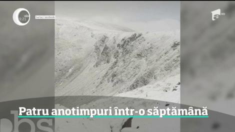 4 anotimpuri într-o săptămână! Vremea scapă de sub control: de la NINSORI la temperaturi de vară, în următoarele zile!