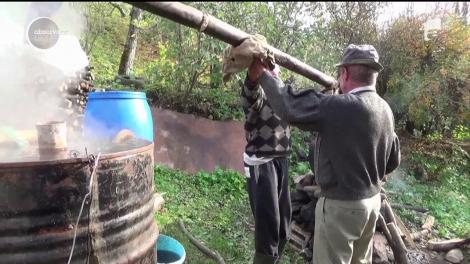 Toamna este anotimpul în care gospodarii nu stau nici o clipă!