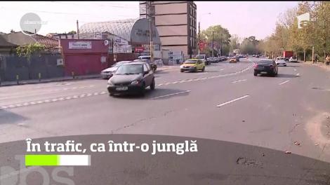 Nimic pare să nu-i mai sperie pe şoferii indisciplinaţi
