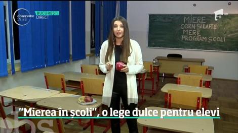 Câte un borcan cu miere în fiecare lună pentru elevii din România