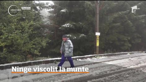 La munte s-a instalat iarna!