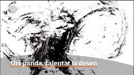 Un urs Panda de la o grădină zoologică din Austria, extrem de talentat la desen