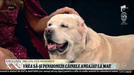 Elena Marin vrea să-și pensioneze câinele angajat la Ministerul de Interne: ”E foarte cunoscut în Penitenciarul Rahova. Caută telefoane mobile”