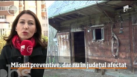 Autorităţile din Maramureş vor lua măsuri de prevenire a extinderii pestei porcine