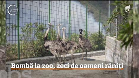 Au fost momente de panică la o grădină zoologică din Ecuador