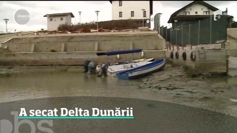 Delta Dunării riscă să se transforme într-o mlaştină uriaşă