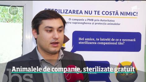 Bucureştenii care au pisici sau câini îi pot steriliza pe banii Primăriei, în 11 cabinete veterinare din Capitală