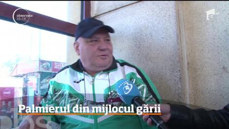 În sala de aşteptare a Gării de Sud din Ploieşti a răsărit un palmier de câţiva metri înălţime