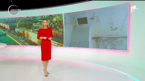 Fotografii cu mizeria din cămine i-au adus Universităţii Bucureşti o amendă. Studenţii dormeau printre gândaci şi şobolani!