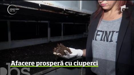 Afacere prosperă cu ciuperci. Cu ajutorul banilor europeni a investit în patru hale speciale