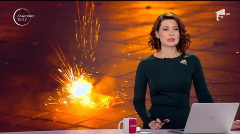 Doi cai, filmaţi în timp ce mănâncă din tomberoanele de gunoi, în Brăila