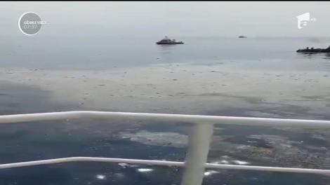 Tragedie aviatică în Indonezia. Un avion cu 188 de oameni la bord s-a prăbuşit la nici un sfert de oră după ce decolase din capitala Jakarta