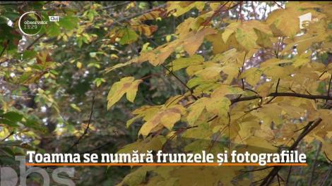 Toamna se numără frunzele şi fotografiile!