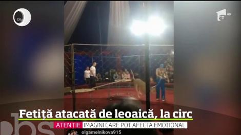 Scene de groază surprinse în timpul unui spectacol de circ din Rusia