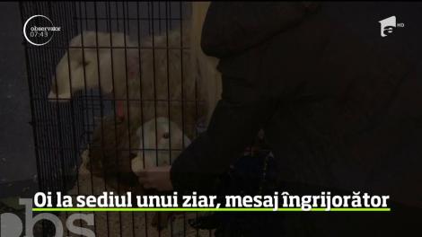 Glumă proastă sau ameninţare? Şi la Moscova, redacţia unui ziar a primit un mesaj neobişnuit
