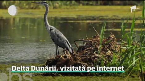 Delta Dunării a ajuns pe internet cu căruţa. Peste o sută de mii de fotografii au fost făcute pentru o celebră aplicaţie, iar acum oricine poate să vadă, la pas, minunea României