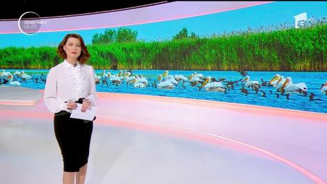 Delta Dunării, pe harta digitală a lumii