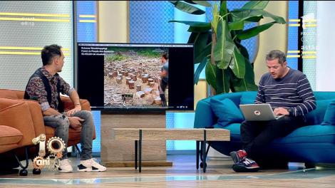 Smiley News! Cel mai rapid tăietor de lemne