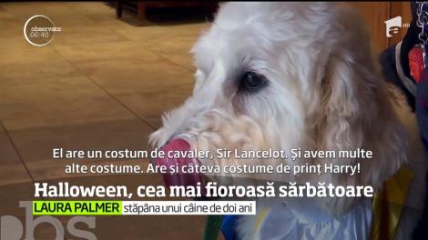 Cea mai fioroasă sărbătoare din calendar, Halloween, este celebrată în Statele Unite şi în întreaga lume