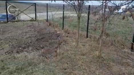 Pui de râs, salvat de jandarmii braşoveni