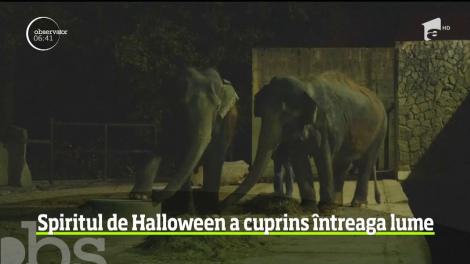 Străvechea sărbătoare Halloween, celebrată, în trecut, mai ales în Statele Unite, este acum prilej de petreceri în toată lumea