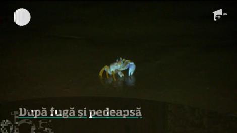 Dima Trofim și Sorin Brotnei au fugit în toiul nopţii. Ce pedeapsă au primit cei doi concurenți de la Ultimul Trib