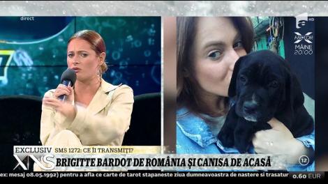 Brigitte Bardot de România! Raluka a ajuns să strângă 12 câini!