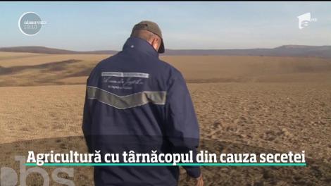 Agricultura este în PERICOL din cauza secetei! Fermierii au ajuns de la sapă la târnăcop, iar veștile nu sunt bune pentru perioada următoare