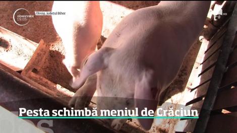 Românii loviţi de pestă nu vor carne de porc din magazin