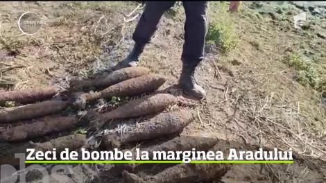 Descoperire periculoasă lângă Arad