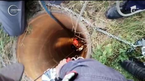 Misiune contracronometru pentru salvarea unui câine căzut într-un canal!