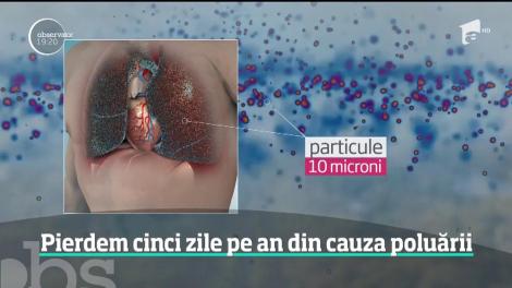Poluarea ne răpeşte cinci zile şi jumătate din viaţă în fiecare an!