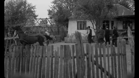 Ce faci in week-end: Festivaluri și evenimente vă așteaptă în București, Brașov, Constanța sau Cluj