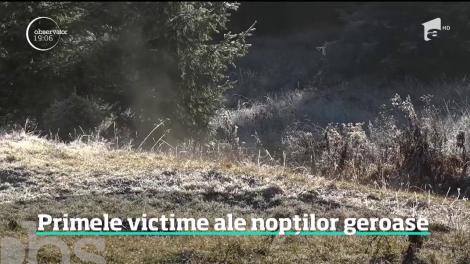 Diferenţele uriaşe de temperatură de la o oră la alta au făcut primele victime. Un bărbat a murit de frig