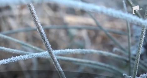 Câmp anticiclonic în România: Val de aer polar cu temperaturi de -10 grade, noaptea. Cât de frig va fi