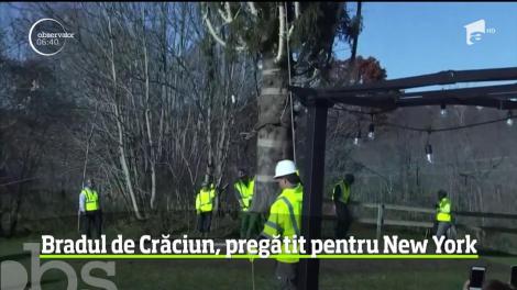 Americanii au intrat deja în febra sărbătorilor de iarnă