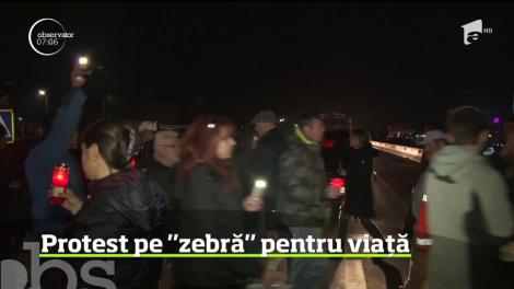 Protest pe "zebră" pentru viață