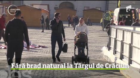 Premieră la Târgul de Crăciun din Sibiu: Uriaşul brad natural va fi înlocuit cu unul artificial, din metal!