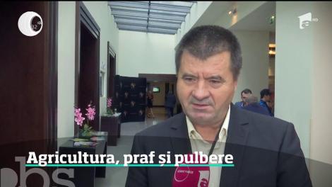 Cea mai secetoasă toamnă din ultimii 60 de ani! Agricultorii, disperați, după ce recoltele le-au fost compromise