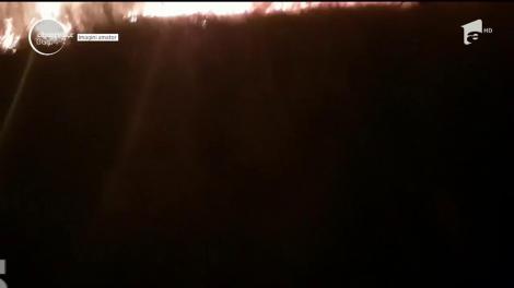 Incendiu de vegetaţie foarte aproape de Autostrada Bucureşti-Piteşti