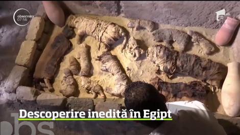 Descoperirea neobişnuită în Egipt. Zeci de scarabei şi pisici mumificate